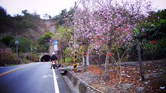 photo (by Roca Chang)
