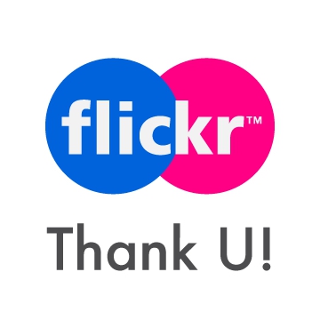 thank-you-flickr